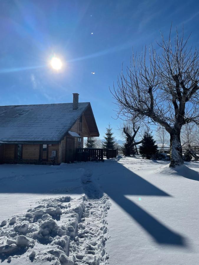 Chalet Ro Peştera Εξωτερικό φωτογραφία