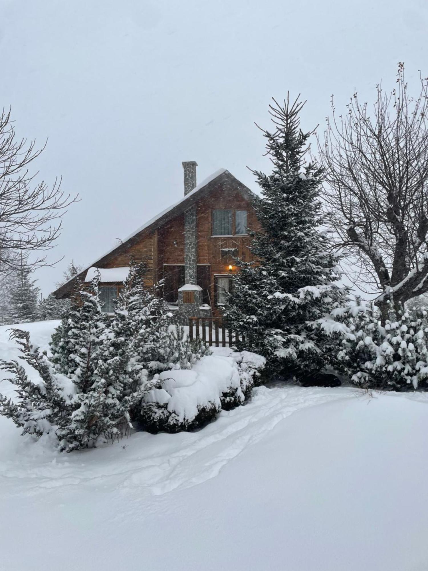 Chalet Ro Peştera Εξωτερικό φωτογραφία