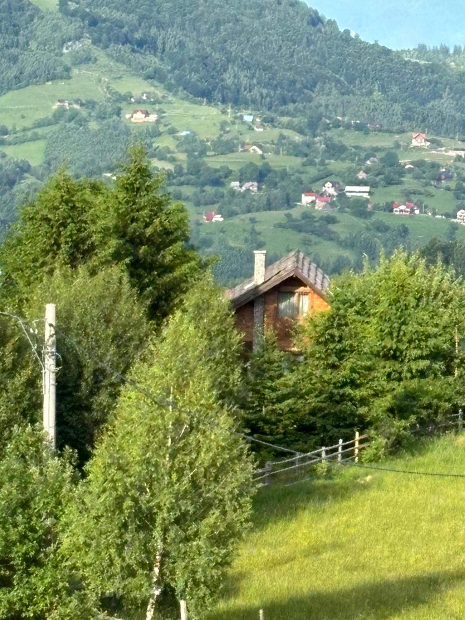 Chalet Ro Peştera Εξωτερικό φωτογραφία