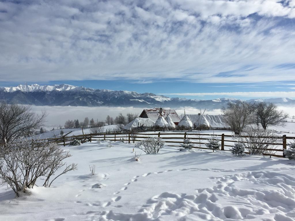 Chalet Ro Peştera Εξωτερικό φωτογραφία